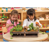 Grow-a-Garden 24 Piecess - Modern Teaching Aids NZ