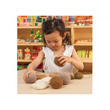 Sensory Pack Set of 10 - Modern Teaching Aids NZ