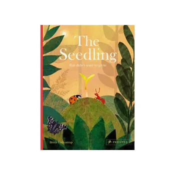 Seedling That Doesn't Want to Grow - Modern Teaching Aids NZ