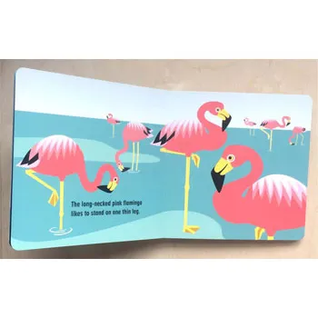 Mibo: The Safari Set - Modern Teaching Aids NZ