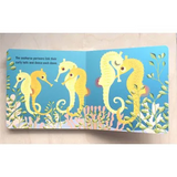 Mibo: The Marine Team - Modern Teaching Aids NZ