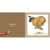 Hairy Maclary and Friends: Colours in Māori and English - Modern Teaching Aids NZ