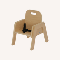 Safespace Toddler Chair with Harness