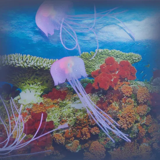 Jelly Fish Tank Large + Adaptor - Modern Teaching Aids NZ