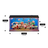Jelly Fish Tank Large + Adaptor - Modern Teaching Aids NZ