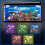 Jelly Fish Tank Large + Adaptor - Modern Teaching Aids NZ