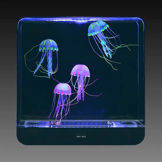 Giant Jelly Fish Tank - Square + Adaptor - Modern Teaching Aids NZ