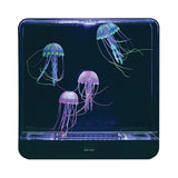 Giant Jelly Fish Tank - Square + Adaptor - Modern Teaching Aids NZ