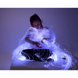 Fibre Optic Twinkle Light Source & 3m Tails - Modern Teaching Aids NZ