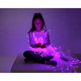 Fibre Optic Twinkle Light Source & 2m Tails - Modern Teaching Aids NZ