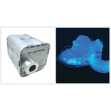 Fibre Optic Twinkle Light Source & 2m Tails - Modern Teaching Aids NZ