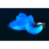 Fibre Optic Tails 3m - 200 pc - Modern Teaching Aids NZ