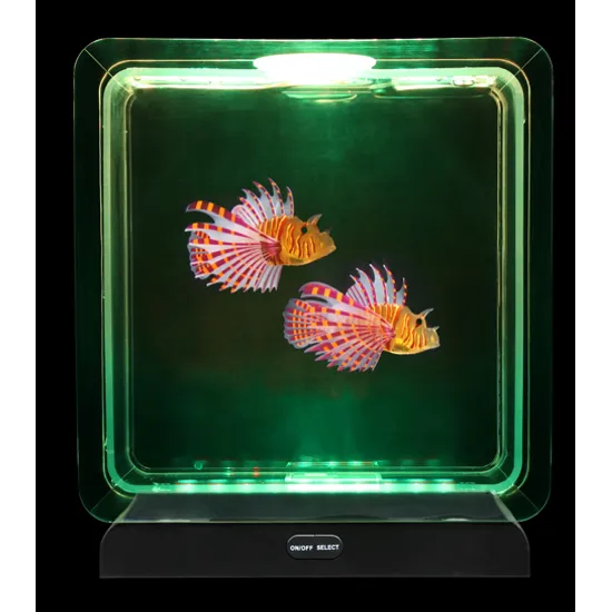 Fish Tank Square - 2 Tropical Fish - Modern Teaching Aids NZ