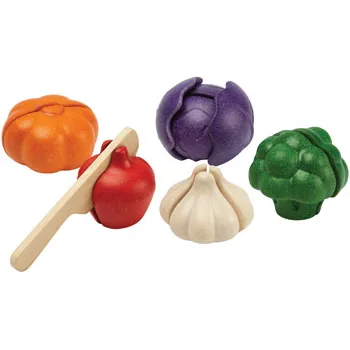 PlanToys - 5 Colors Veggie Set - Modern Teaching Aids NZ