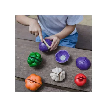 PlanToys - 5 Colors Veggie Set - Modern Teaching Aids NZ