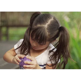 PlanToys - 5 Colors Veggie Set - Modern Teaching Aids NZ