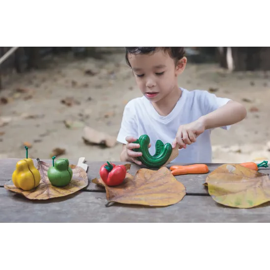 PlanToys - Wonky Fruit & Vegetables - Modern Teaching Aids NZ