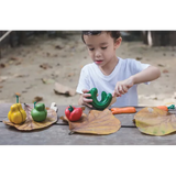 PlanToys - Wonky Fruit & Vegetables - Modern Teaching Aids NZ