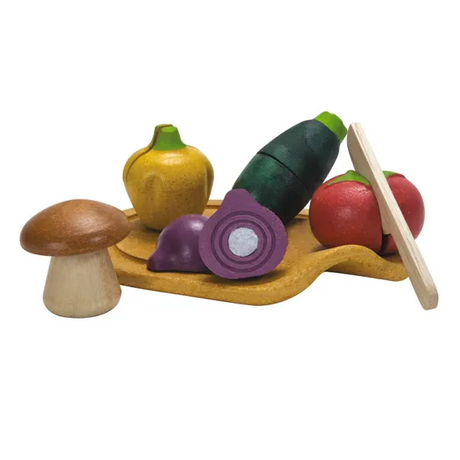PlanToys - Assorted Vegetable Set - Modern Teaching Aids NZ