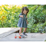 PlanToys - Happy Puppy - Modern Teaching Aids NZ