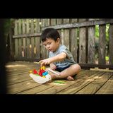 PlanToys - Balancing Boat - Modern Teaching Aids NZ