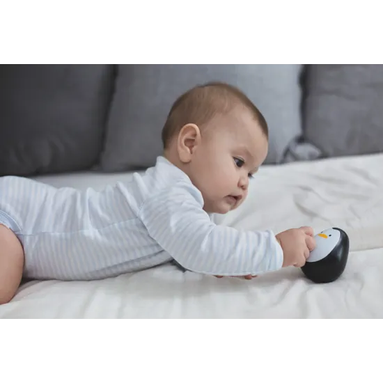 PlanToys - Penguin - Modern Teaching Aids NZ