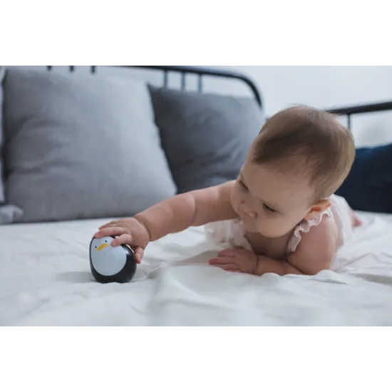 PlanToys - Penguin - Modern Teaching Aids NZ