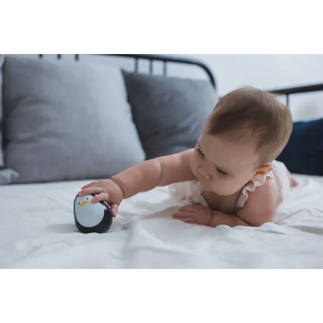 PlanToys - Penguin - Modern Teaching Aids NZ