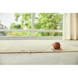 PlanToys - Pull-Along Hedgehog - Modern Teaching Aids NZ