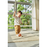 PlanToys - Pull-Along Hedgehog - Modern Teaching Aids NZ