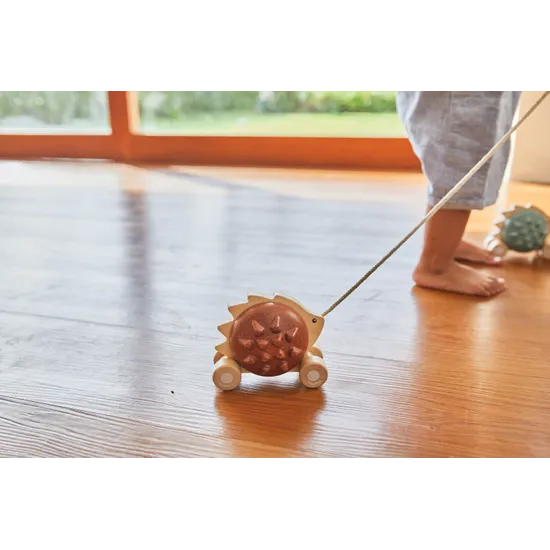 PlanToys - Pull-Along Hedgehog - Modern Teaching Aids NZ