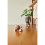 PlanToys - Pull-Along Hedgehog - Modern Teaching Aids NZ