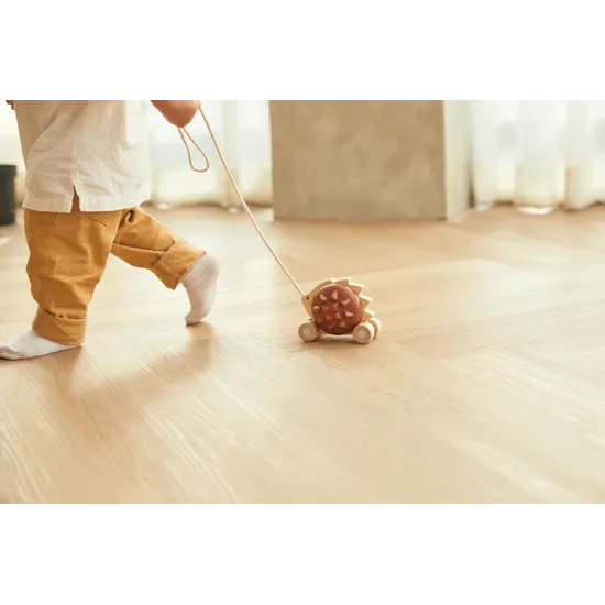 PlanToys - Pull-Along Hedgehog - Modern Teaching Aids NZ