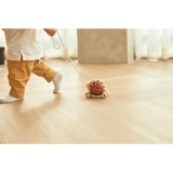 PlanToys - Pull-Along Hedgehog - Modern Teaching Aids NZ