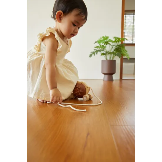 PlanToys - Pull-Along Hedgehog - Modern Teaching Aids NZ