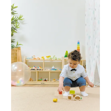 PlanToys - Geo Matching Boxes - Modern Teaching Aids NZ