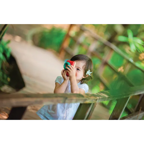 PlanToys - My First Camera - Modern Teaching Aids NZ