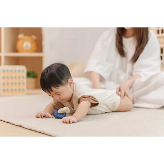 PlanToys Montessori-Inspired Interlocking Rings