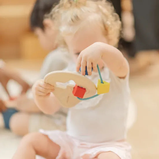 PlanToys Montessori-Inspired First Shape Sorter
