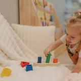 PlanToys Montessori-Inspired Sorting Boat
