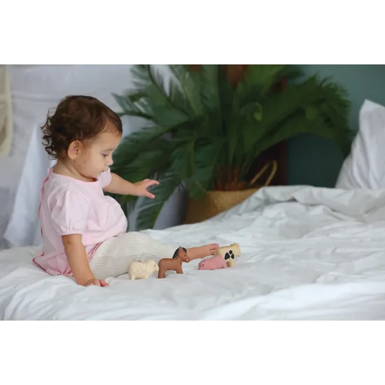 PlanToys - Animals Set of 8 - Modern Teaching Aids NZ