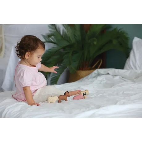 PlanToys - Farm Animals Set - Modern Teaching Aids NZ