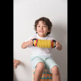 PlanToys - Concertina - Modern Teaching Aids NZ