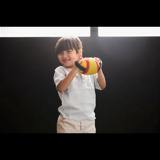 PlanToys - Concertina - Modern Teaching Aids NZ