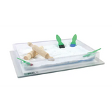 Light Table Transparent Tray - 30.5x43cm - Modern Teaching Aids NZ