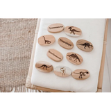 Dinosaur Stones - Modern Teaching Aids NZ
