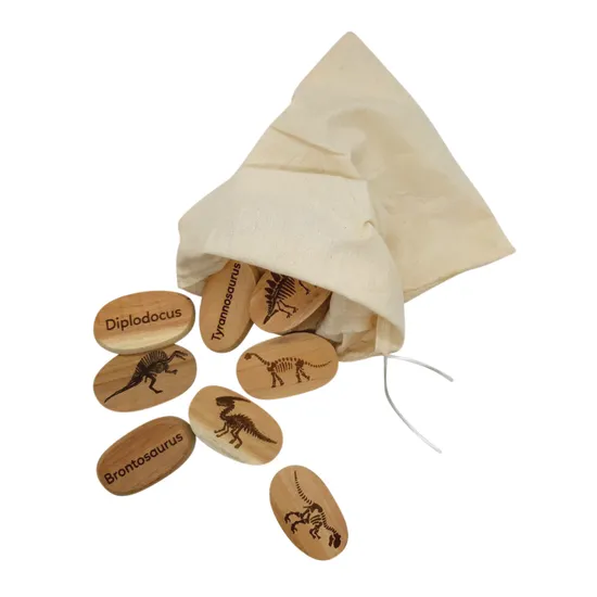 Dinosaur Stones - Modern Teaching Aids NZ