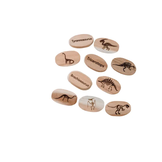 Dinosaur Stones - Modern Teaching Aids NZ