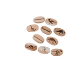 Dinosaur Stones - Modern Teaching Aids NZ