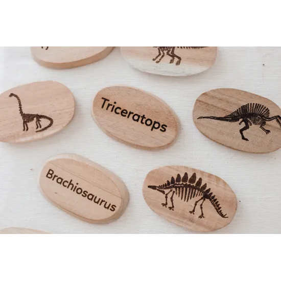 Dinosaur Stones - Modern Teaching Aids NZ